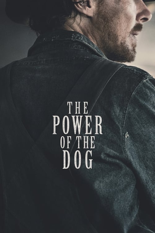 Poster for the movie "The Power of the Dog"