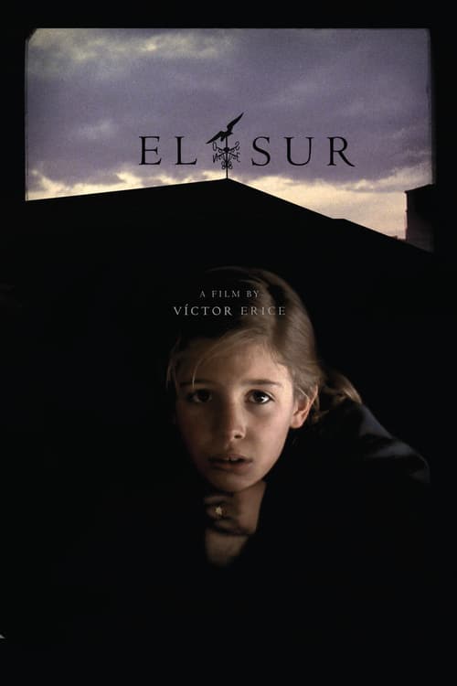 Poster for the movie "El sur"